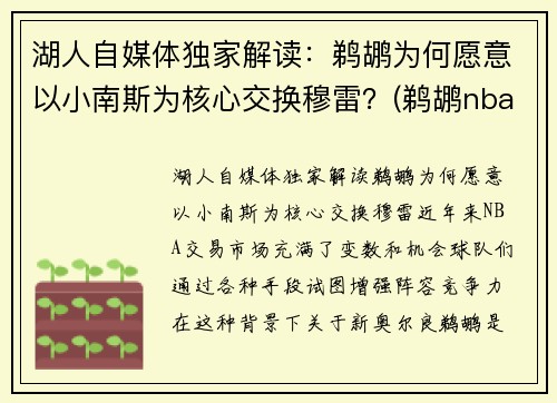 湖人自媒体独家解读：鹈鹕为何愿意以小南斯为核心交换穆雷？(鹈鹕nba球员)