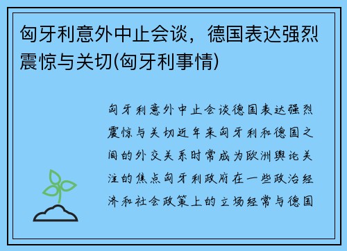 匈牙利意外中止会谈，德国表达强烈震惊与关切(匈牙利事情)